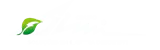 dimi-png